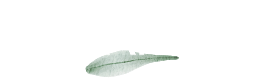 Edificio San Antonio